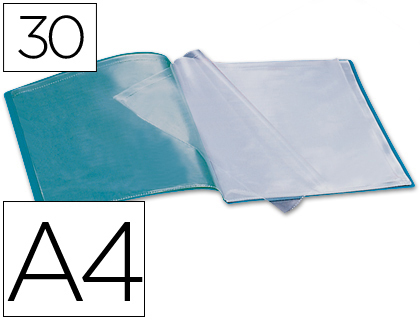 Asistir Incorporar Toro Carpeta de 30 fundas de plástico transparentes y portada verde